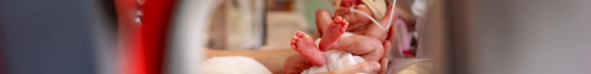 The Lullaby Trust