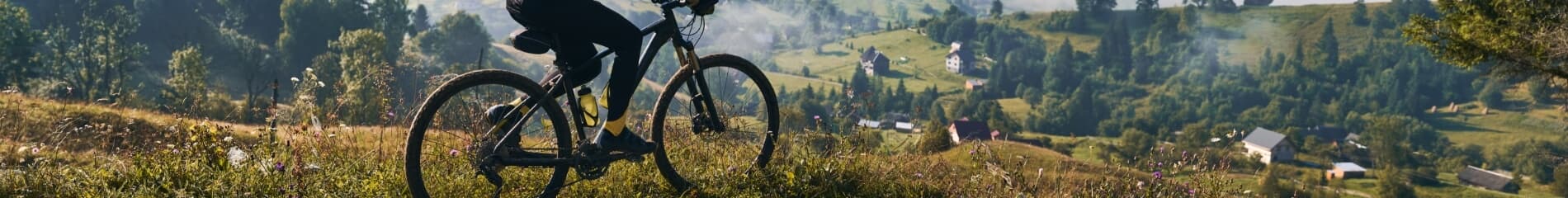 Walk Wheel Cycle Trust (formerly Sustrans)