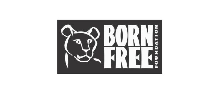 Born Free Foundation
